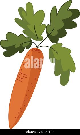 Icona della carota in uno stile disegnato a mano piatto isolato su sfondo bianco. Illustrazione vettoriale. Illustrazione Vettoriale