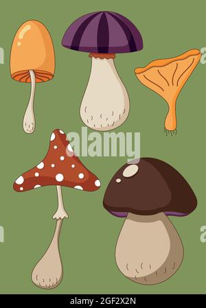 Set di cartoni animati di funghi colorati, avvelenati e sani, cibo vegetariano in stile piatto. Illustrazione Vettoriale