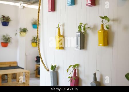 Decorazioni per la casa con piantatrici di bottiglie di diversi colori a parete, decorazioni per pareti, piante, India Foto Stock