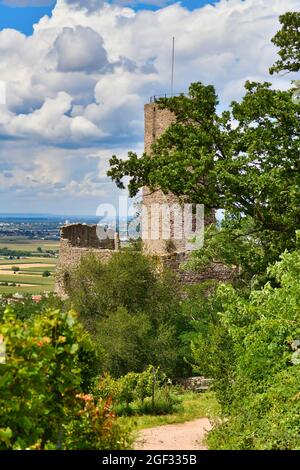 Rovine del castello tedesco e ristorante chiamato Strahlenburg nella foresta di Odenwald nella città di Schriesheim Foto Stock