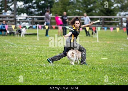 Campionato Italiano Disc Dog. In questo sport, i cani e i loro lanciatori di dischi volanti umani competono in eventi come la cattura a distanza e il freestyle. Foto Stock