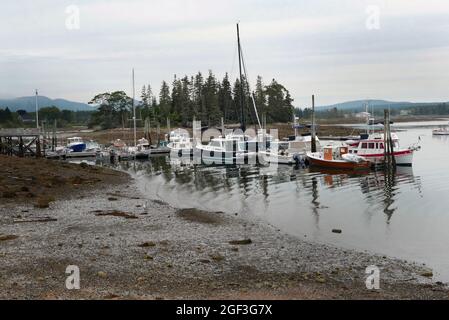 Il lato ovest di Bass Harbor Mt Desert Maine. Foto Stock