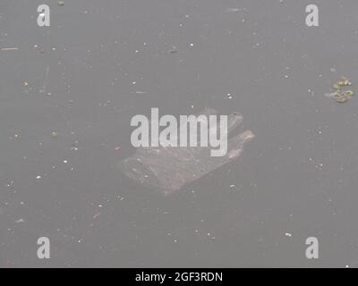 Il guanto trasparente galleggia appena sotto la superficie dell'acqua grigia molto sporca Foto Stock