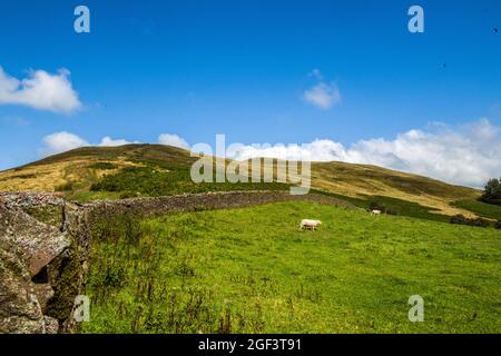 Tor y Foel Hill visto da Bwlch y Waun sopra la Valle di Talybont, Parco Nazionale di Brecon Beacons Foto Stock