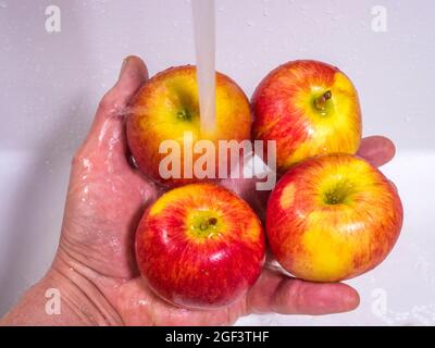 Primo piano POV colpo di mano di un uomo che tiene quattro mele intere rosse e gialle sotto un rubinetto corrente del lavandino per lavarle prima di mangiare. Foto Stock