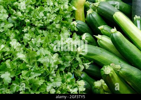 Ortaggi biologici freschi : coriandolo e zucchine verdi Foto Stock