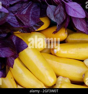 Ortaggi biologici freschi : amaranto rosso e zucchine gialle Foto Stock