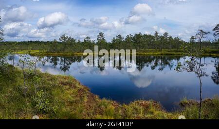 Pittoresca torbiera e paesaggio di lago blu sotto un cielo espressivo con nuvole bianche Foto Stock