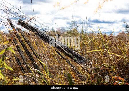 Fence rotto che cade in un campo erboso Foto Stock