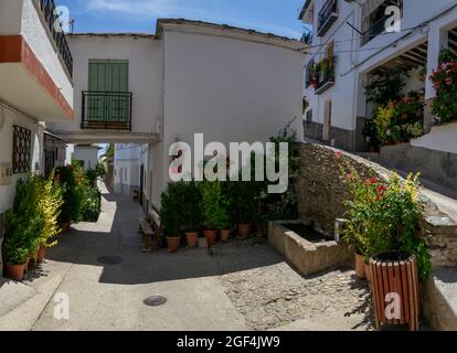 Una piccola piazza in Berchules con una fontana in pietra, un tinao, case bianche, una strada in pendenza e abbondanti vasi di fiori e piante Foto Stock