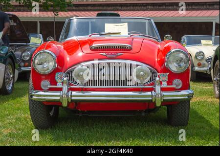 Mystic, CT USA / 23 luglio 2011: Classic Red 1965 Austin Healey 3000 Mk III auto sportiva in mostra al British Car Show estivo in New England. Foto Stock