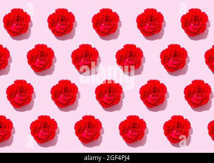 Modello di teste di fiori di garofano rosso piatto poggiato su sfondo rosa Foto Stock