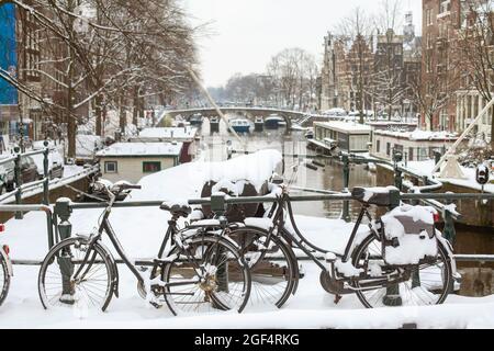 Paesi Bassi, Olanda del Nord, Amsterdam, biciclette lasciate sul ponte innevato sul canale Prinsengracht Foto Stock