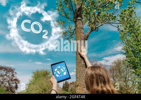 Donna che tocca l'albero mentre tiene il tablet digitale in parcheggio Foto Stock