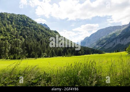 Valle boschiva nei monti Hochschwab durante l'estate Foto Stock