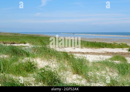 Spiaggia costiera erbosa a Wadden Sea National Parks Foto Stock