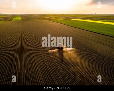 Vista aerea del trattore che irrorano colture di soia al tramonto Foto Stock