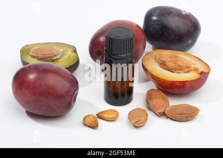 Olio di nocciolo di prugna e frutti di susina freschi. Cosmetica organica. Foto Stock