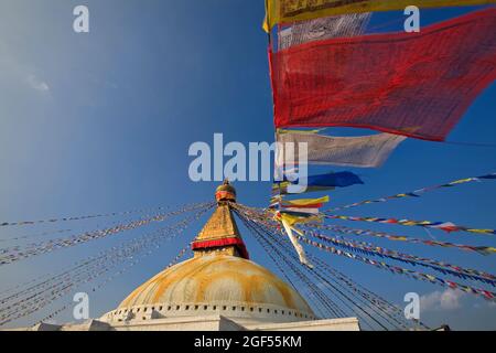 Nepal, provincia di Bagmati, Kathmandu, bandiere di preghiera appese dalla parte superiore di Boudhanath stupa Foto Stock