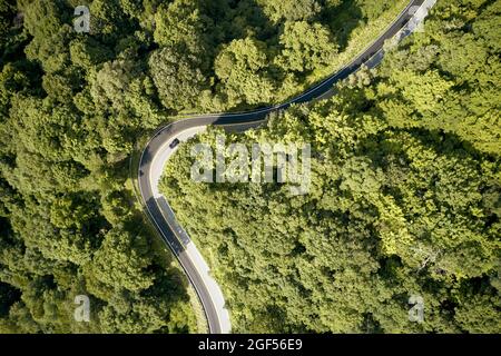 USA, Virginia, vista aerea di Back of Dragon Road circondato da verde foresta in estate Foto Stock