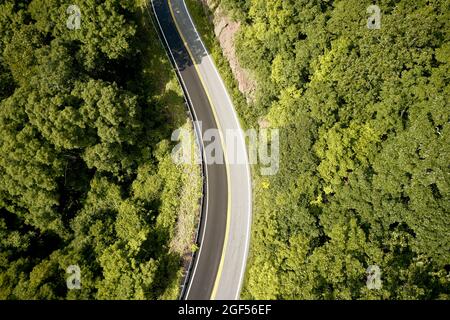 USA, Virginia, vista aerea di Back of Dragon Road circondato da verde foresta in estate Foto Stock