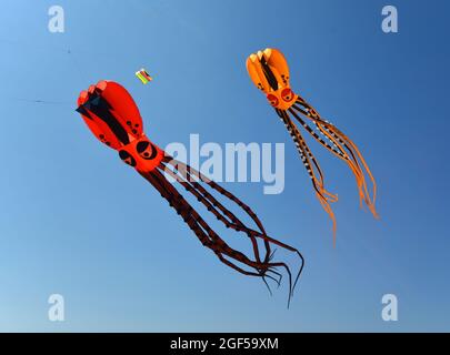 Due Octopus Kites contro il cielo blu. Foto Stock