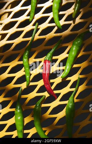 Foto dall'alto di peperoncini thailandesi su un tavolo giallo. Foto Stock