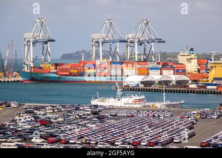 La nave container Oluf Maersk di proprietà di Maersk Lines scarica Sea Containers ad Auckland Nuova Zelanda Foto Stock