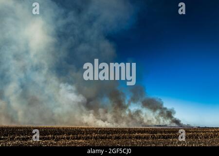 Un ampio angolo di un campo agricolo sul fuoco, agricoltura e campo agricolo che brucia, il fumo di fuoco selvatico che riempie il cielo al tramonto, di giorno Foto Stock