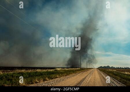 Un paesaggio di un diavolo polveroso, vento o polvere vortice di polvere vorticoso in un vortice di linee elettriche e una strada sterrata in una scena rurale Foto Stock