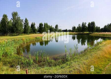 Lago circondato dal verde sul territorio del golf club. Serbatoio artificiale. Foto Stock