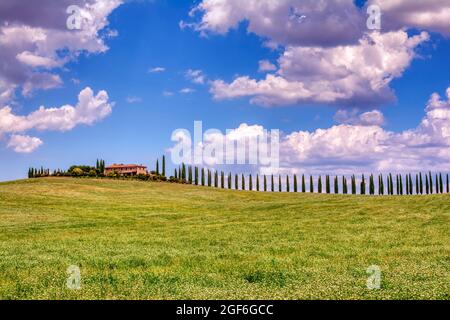 Toscana, Italia - Luglio 6, 2018: cipressi e prato con tipica casa toscana, Val d'Orcia, Italia - Toscana Foto Stock