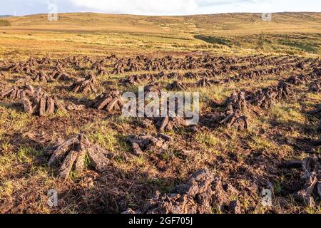 Torba appaiata su una torba nella Contea di Donegal - Irlanda. Foto Stock