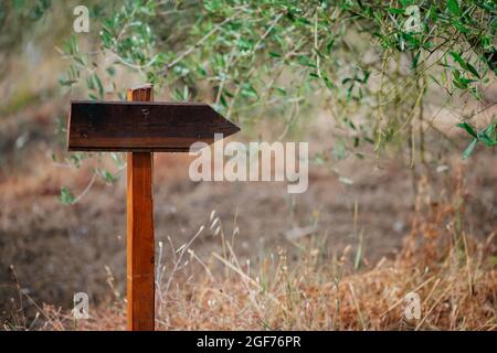 Vecchio cartello in legno intemperie e freccia in un giardino Foto Stock