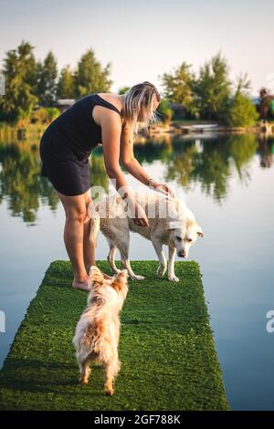 Donna che gioca con i suoi cani sul molo al lago in caldo giorno d'estate. Labrador Retriever e cairn terrier con proprietario di animali domestici si divertono insieme all'aperto Foto Stock