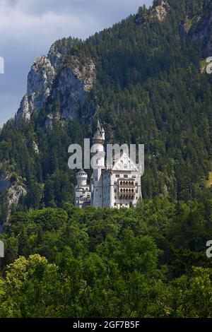 Castello di Neuschwanstein, castello fiabesco, Schwangau, Koenigswinkel, strada romantica, Fuessen, Ostallgaeu, Allgaeu, Swabia, Baviera, Germania Foto Stock