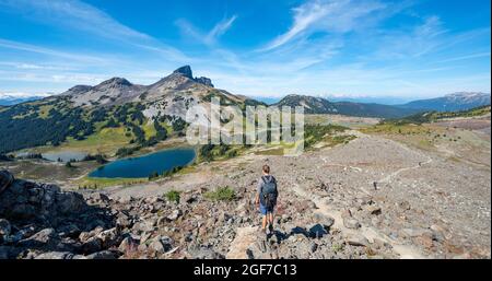 Escursionisti lungo il sentiero per Panorama Ridge, Blue Lakes di fronte al vulcano Black Tusk Mountain, Panorama Ridge, Garibaldi Provincial Park, British Columbia Foto Stock