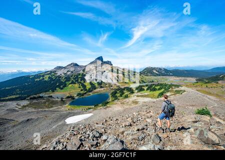 Escursionisti lungo il sentiero per Panorama Ridge, Blue Lakes di fronte al vulcano Black Tusk Mountain, Panorama Ridge, Garibaldi Provincial Park, British Columbia Foto Stock