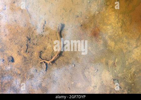 Piscina nella zona estremamente ricca di minerali delle miniere di Rio Tinto, vista aerea, fuchi, provincia di Huelva, Andalusia, Spagna Foto Stock
