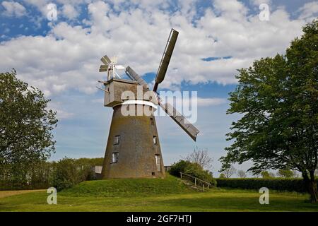 Museo Breber Mulino a vento, Selfkant-Muehlenstrasse, Gangelt, basso Reno, Nord Reno-Westfalia, Germania Foto Stock