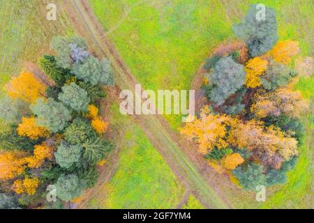 Strada sterrata tra campi e aree forestali, in autunno. Vista aerea Foto Stock