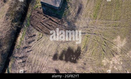 Vista aerea da un drone di un brutalista freddo gritty cemento guerra mondiale due, seconda guerra mondiale, saccheggio guerra fortezza di difesa in un boschetto sporco dimenticato a Rijkevorsel, Belgio, Europa. Reliquia wartime e avamposto dimenticato utilizzando una solida architettura per difendere. Foto di alta qualità Foto Stock