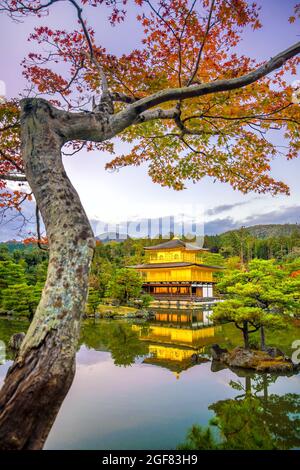 Tempio di Kinkakuji a Kyoto, Giappone in autunno al tramonto Foto Stock