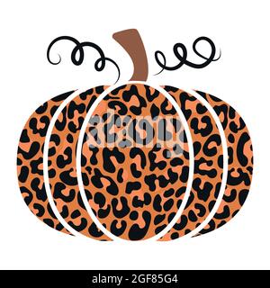 Zucca con texture leopardata - illustrazione vettoriale disegnata a mano. Poster a colori autunnali. Buono per decorazione di Halloween o di Thanksgiving, manifesto, biglietto di auguri, b Illustrazione Vettoriale