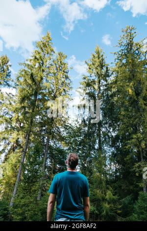 Uomo irriconoscibile nella foresta contro conifere e cielo blu. Escursioni e unità di persone con la natura. Giovane uomo caucasico vista dal retro nel parco Foto Stock