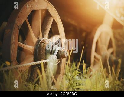 Un vecchio carro in legno con grandi ruote fatte in casa si erge tra l'erba verde del villaggio, illuminato dalla luce del sole. Vita rurale. Foto Stock