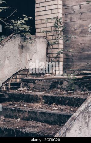 Parzialmente sfocato grigio passi in cemento di abbandonato edificio rovinato soprastato con muschio e rami verdi. Verticale Foto Stock