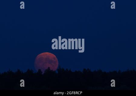 la luna piena rossa sorge sulla foresta Foto Stock