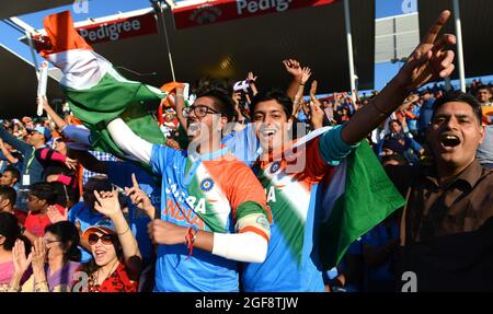 Tifosi di cricket dell'India con la bandiera nazionale dell'India Natwest T20 Series - Inghilterra contro India 07/09/2014 Foto Stock