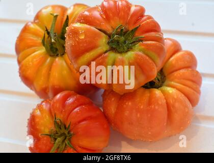 Una gamma di pomodori grigliati in casa Foto Stock